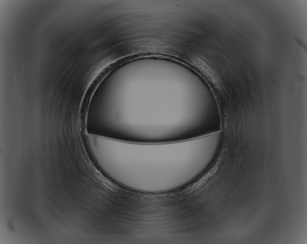 X0000097640924200802290818