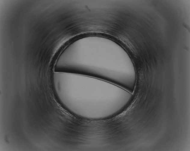 X0000097640926200802290818
