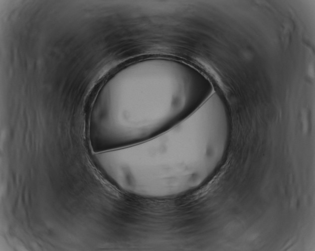 X0000097640931200802290819