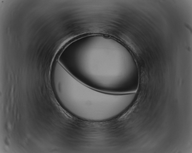 X0000097640932200802290819