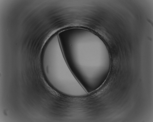 X0000097640934200802290819