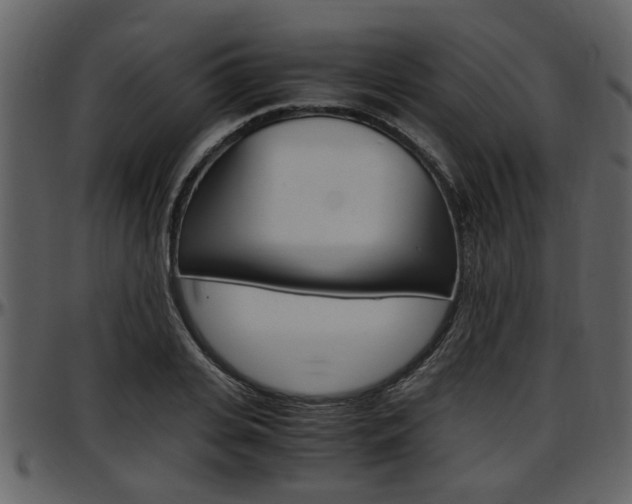 X0000097640935200802290819