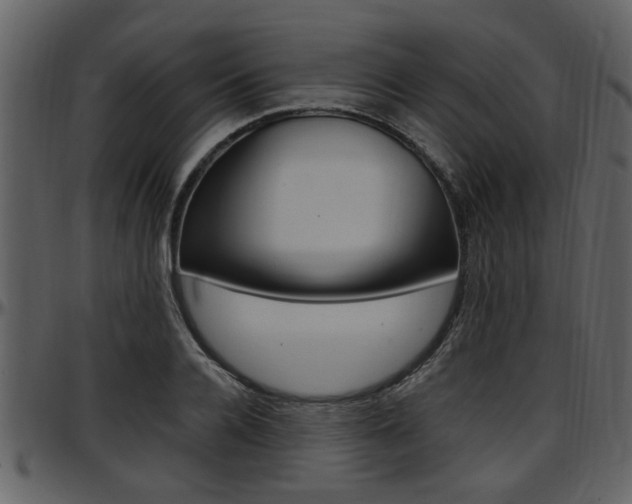 X0000097640936200802290819