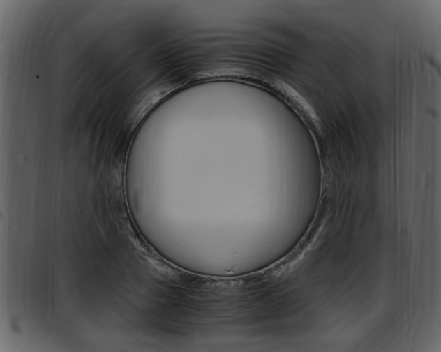 X0000097640937200802290819