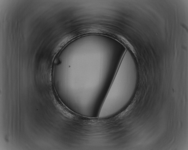 X0000097640938200802290819