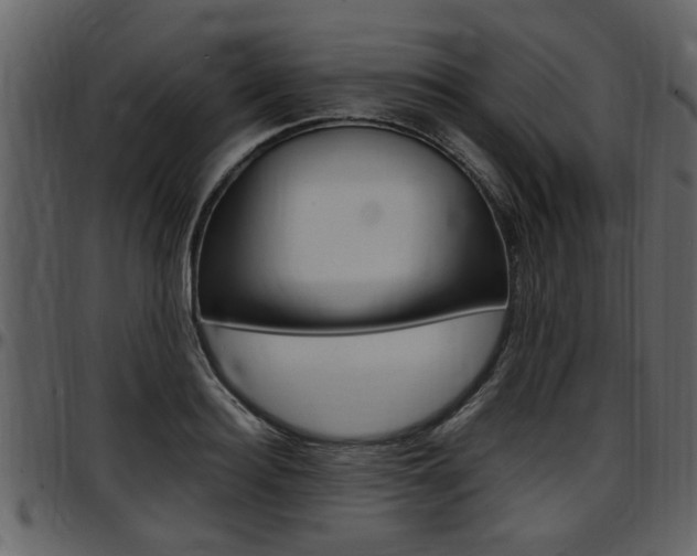 X0000097640940200802290819