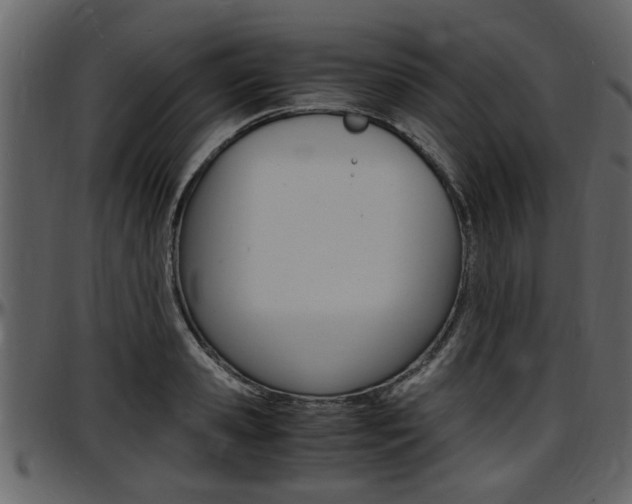 X0000097640941200802290819