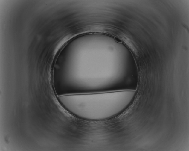 X0000097640944200802290819