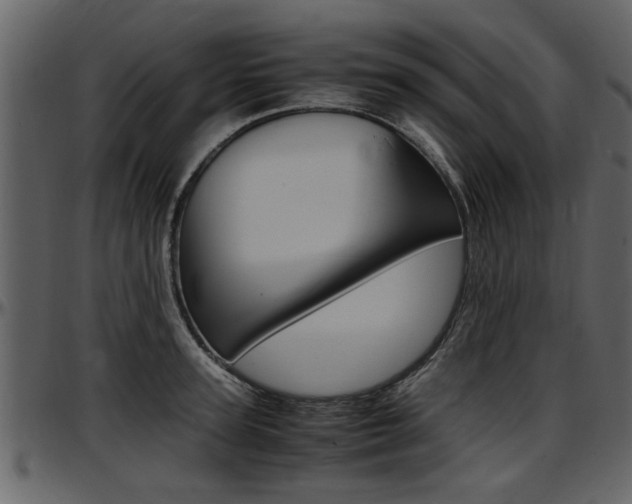 X0000097640947200802290819