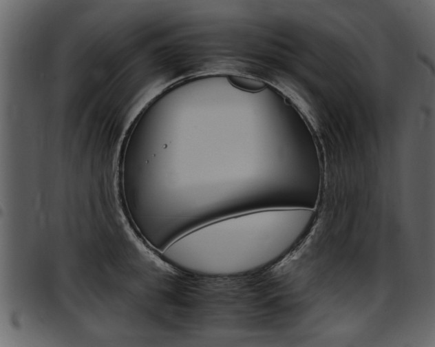 X0000097640949200802290819