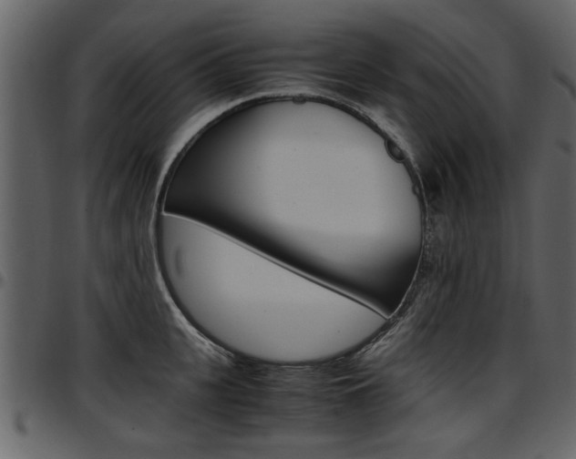 X0000097640951200802290819