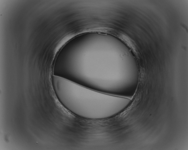 X0000097640952200802290819