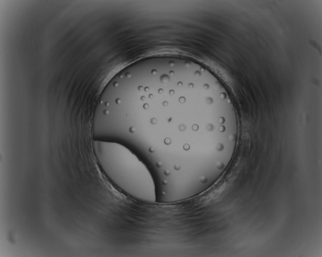 X0000097640953200802290819