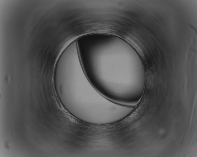 X0000097640956200802290819