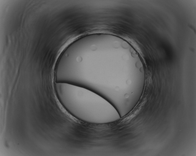X0000097640957200802290819