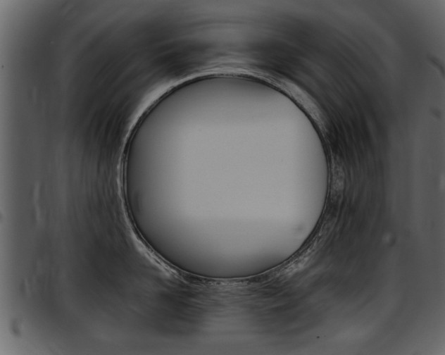 X0000097640958200802290819