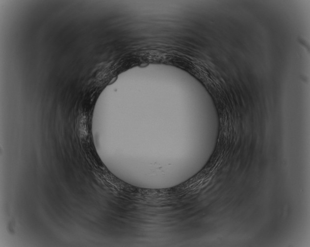 X0000097640962200802290818