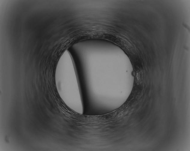 X0000097640963200802290818