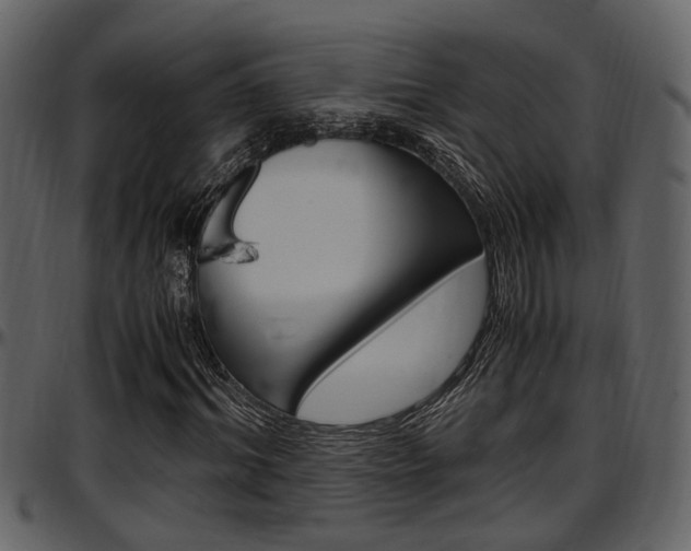 X0000097640964200802290818