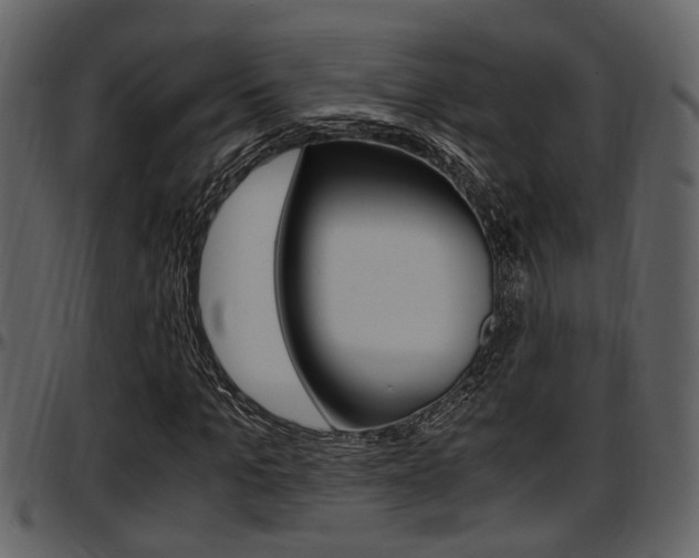 X0000097640965200802290818