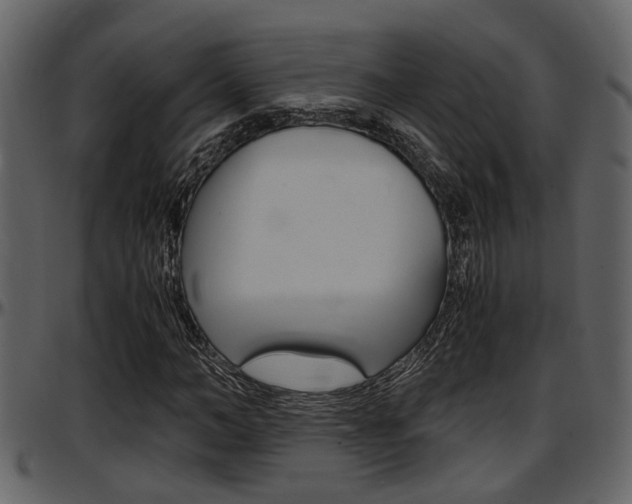 X0000097640966200802290818