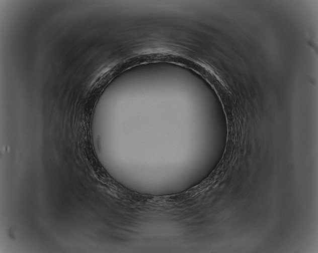 X0000097640967200802290818