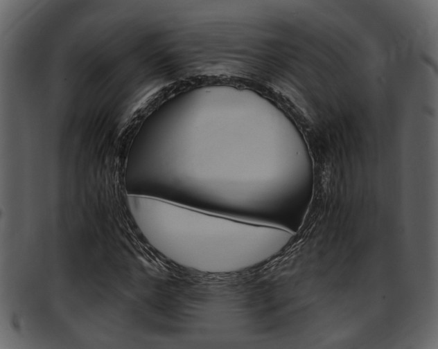 X0000097640968200802290818