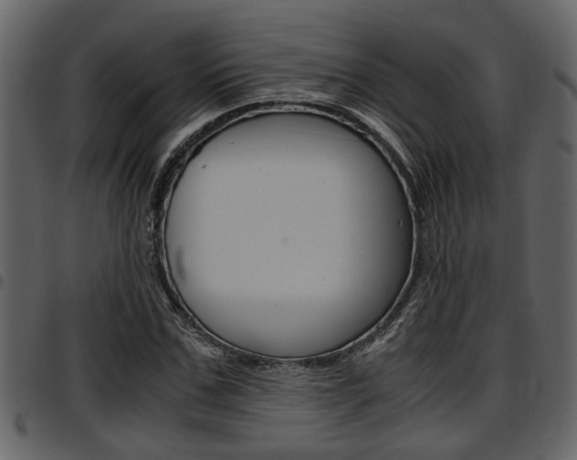 X0000097640971200802290818