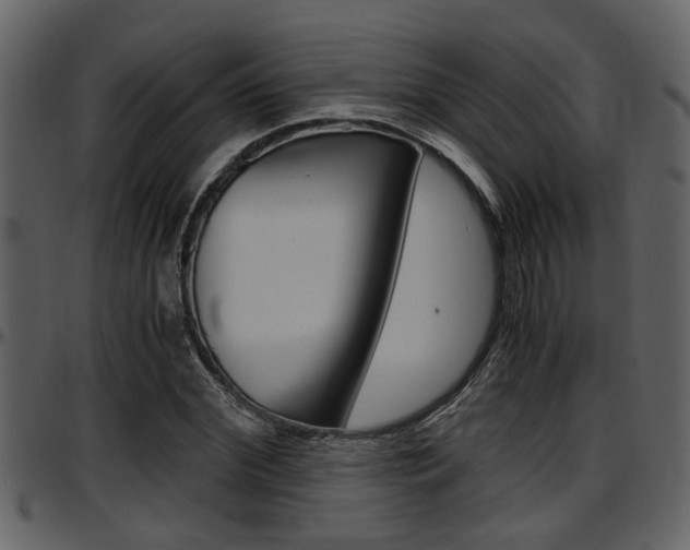 X0000097640972200802290818