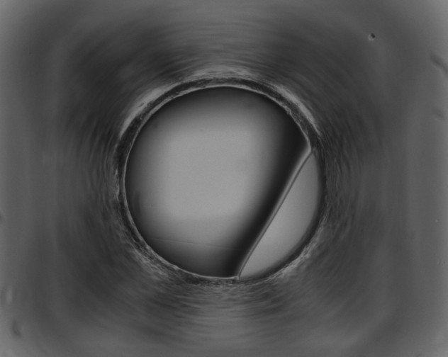X0000097640973200802290818