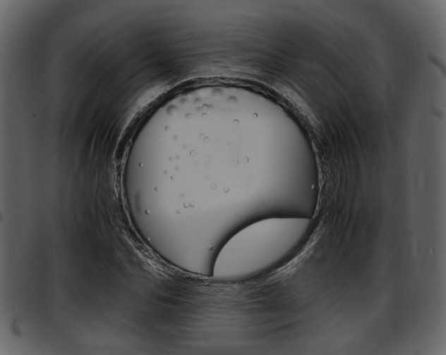 X0000097640974200802290818