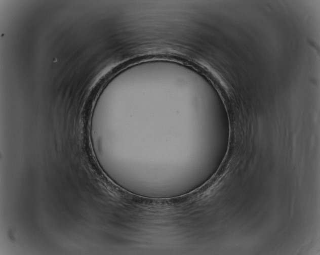 X0000097640975200802290818