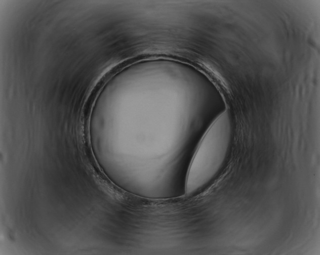 X0000097640976200802290818