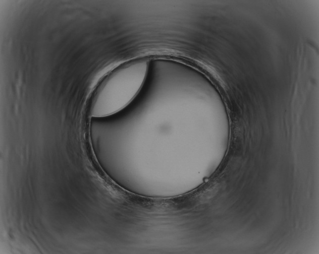 X0000097640979200802290818