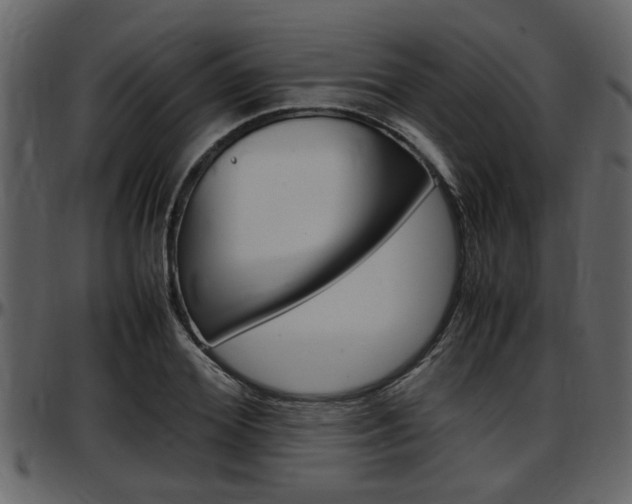X0000097640980200802290818
