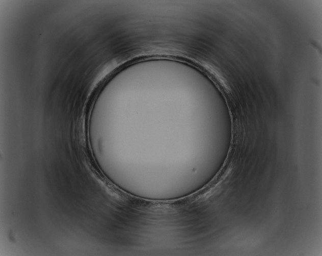 X0000097640982200802290818