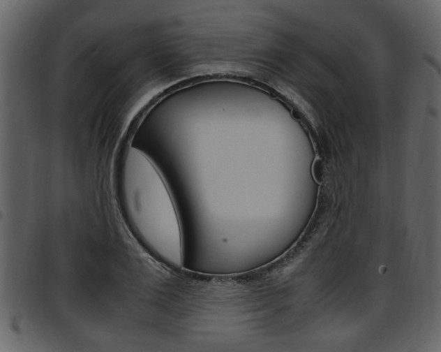 X0000097640983200802290818
