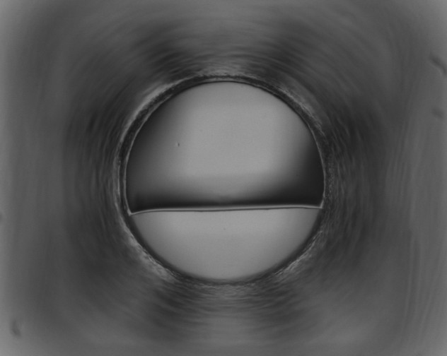 X0000097640984200802290818