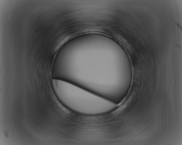 X0000097640985200802290818