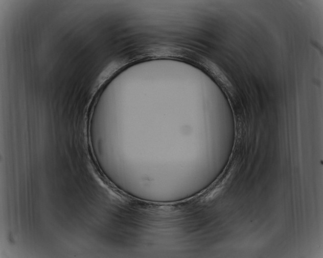 X0000097640986200802290818