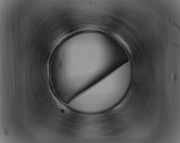 X0000097640988200802290818