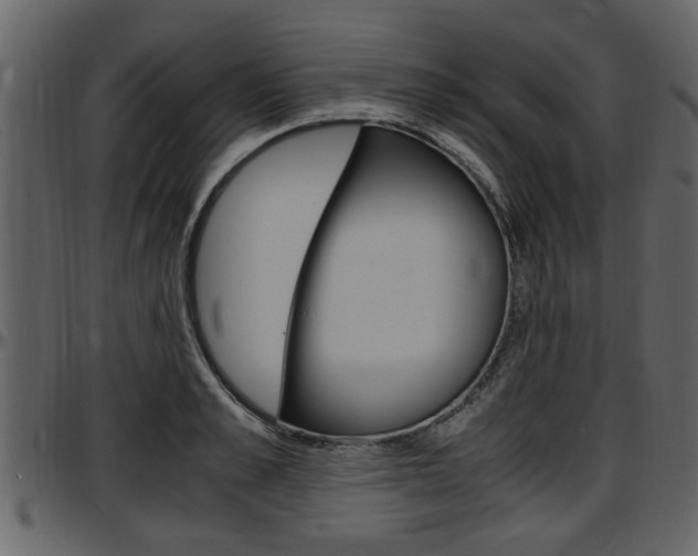 X0000097640989200802290818
