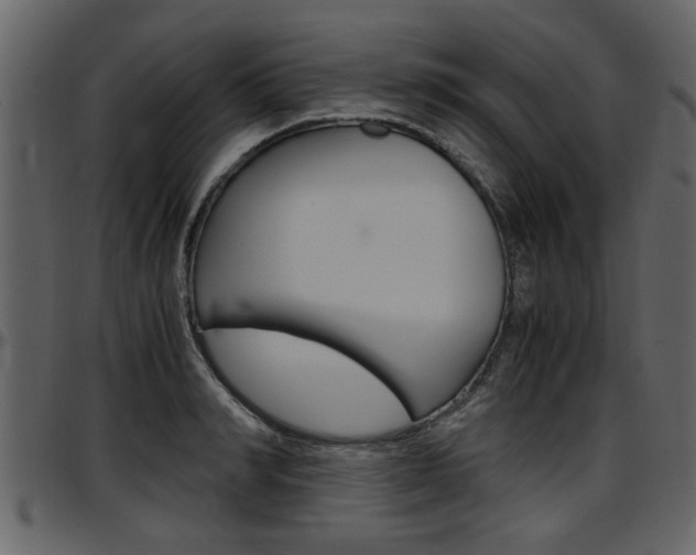X0000097640990200802290818