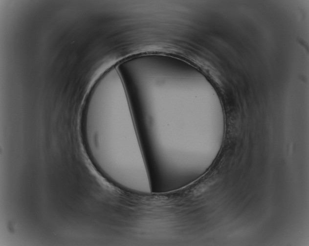X0000097640991200802290818