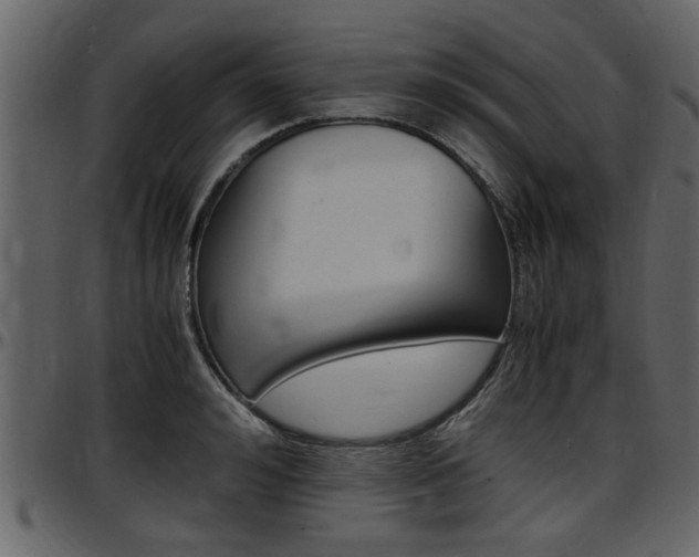 X0000097640992200802290818