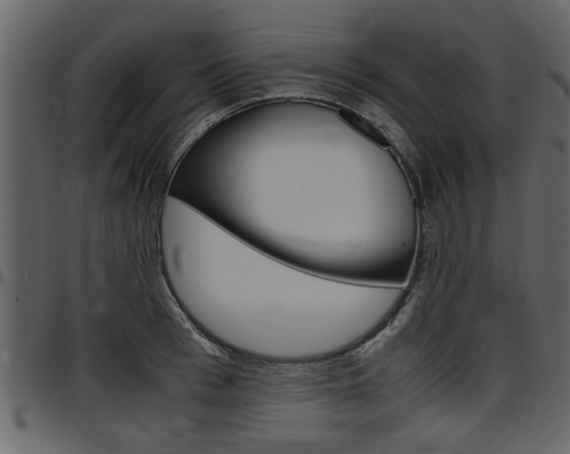 X0000097640993200802290818