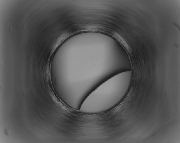 X0000097640994200802290818