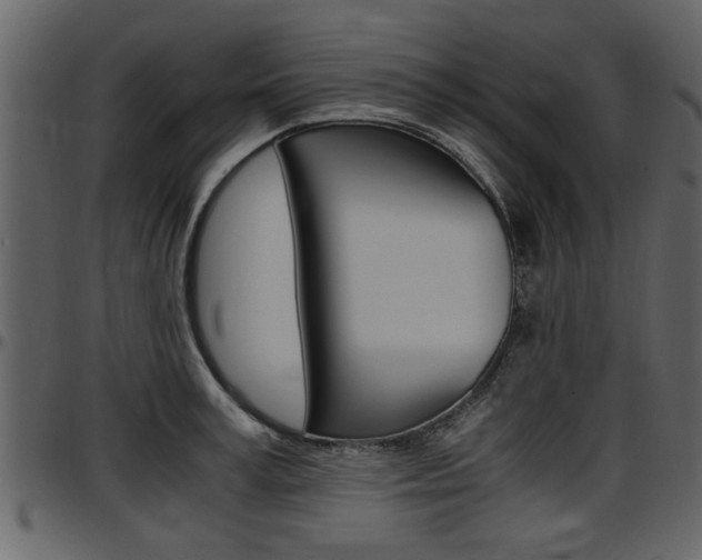 X0000097640995200802290818