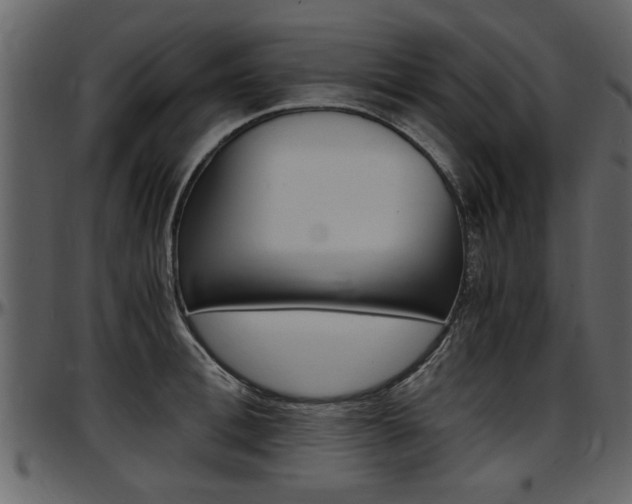 X0000097640996200802290818