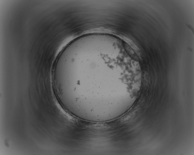 X0000097640998200802290818